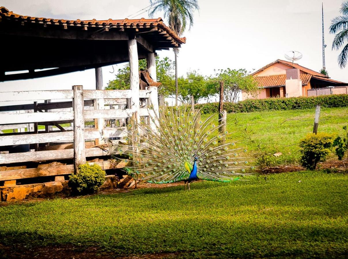 Pousada Casco De Ouro Miguelopolis Zewnętrze zdjęcie